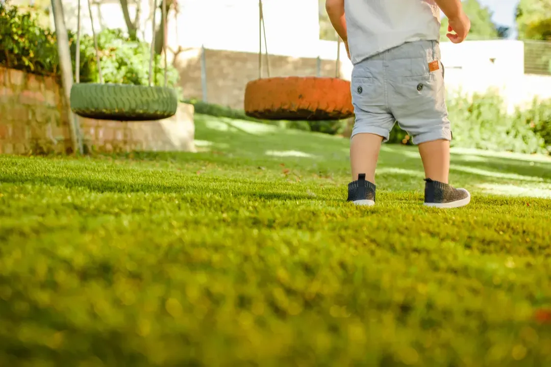 Installed Options